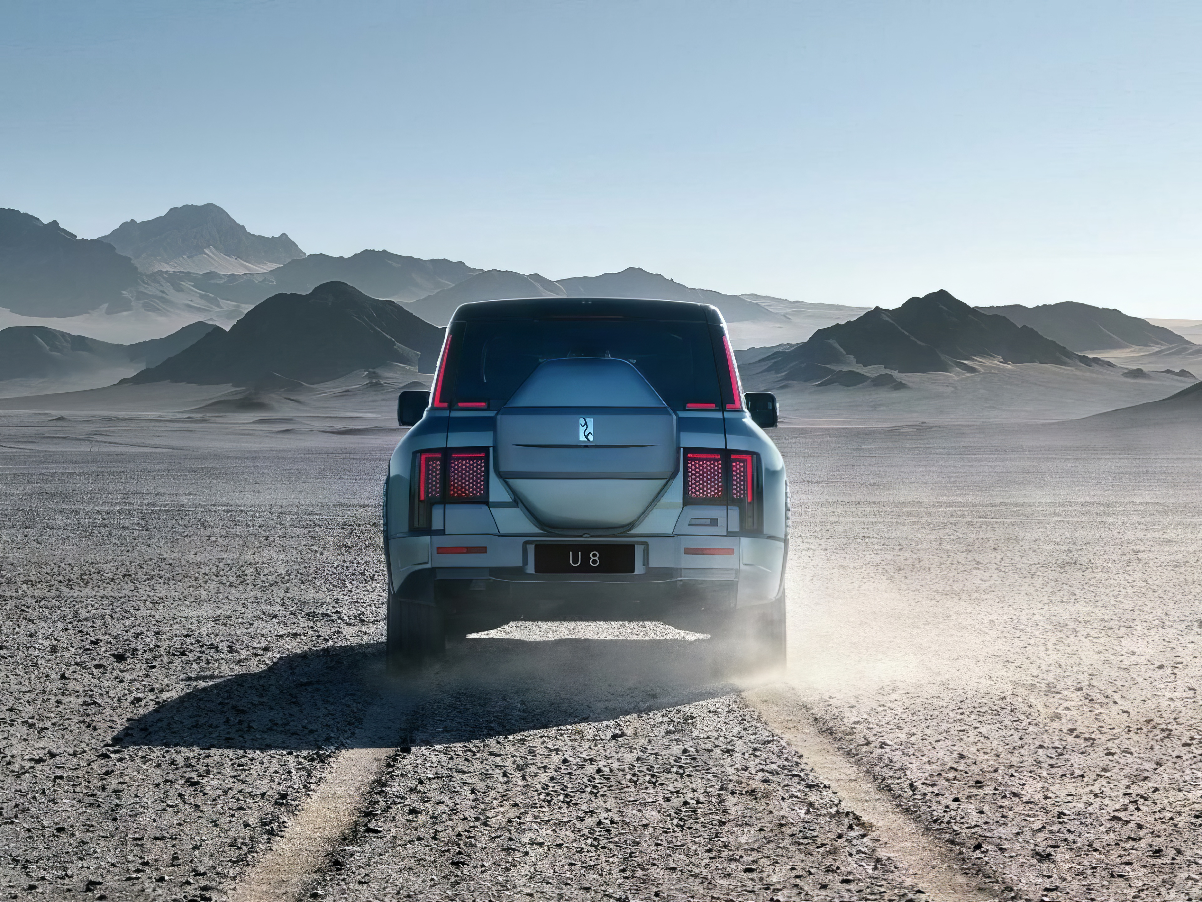 Yangwang U8  rear view