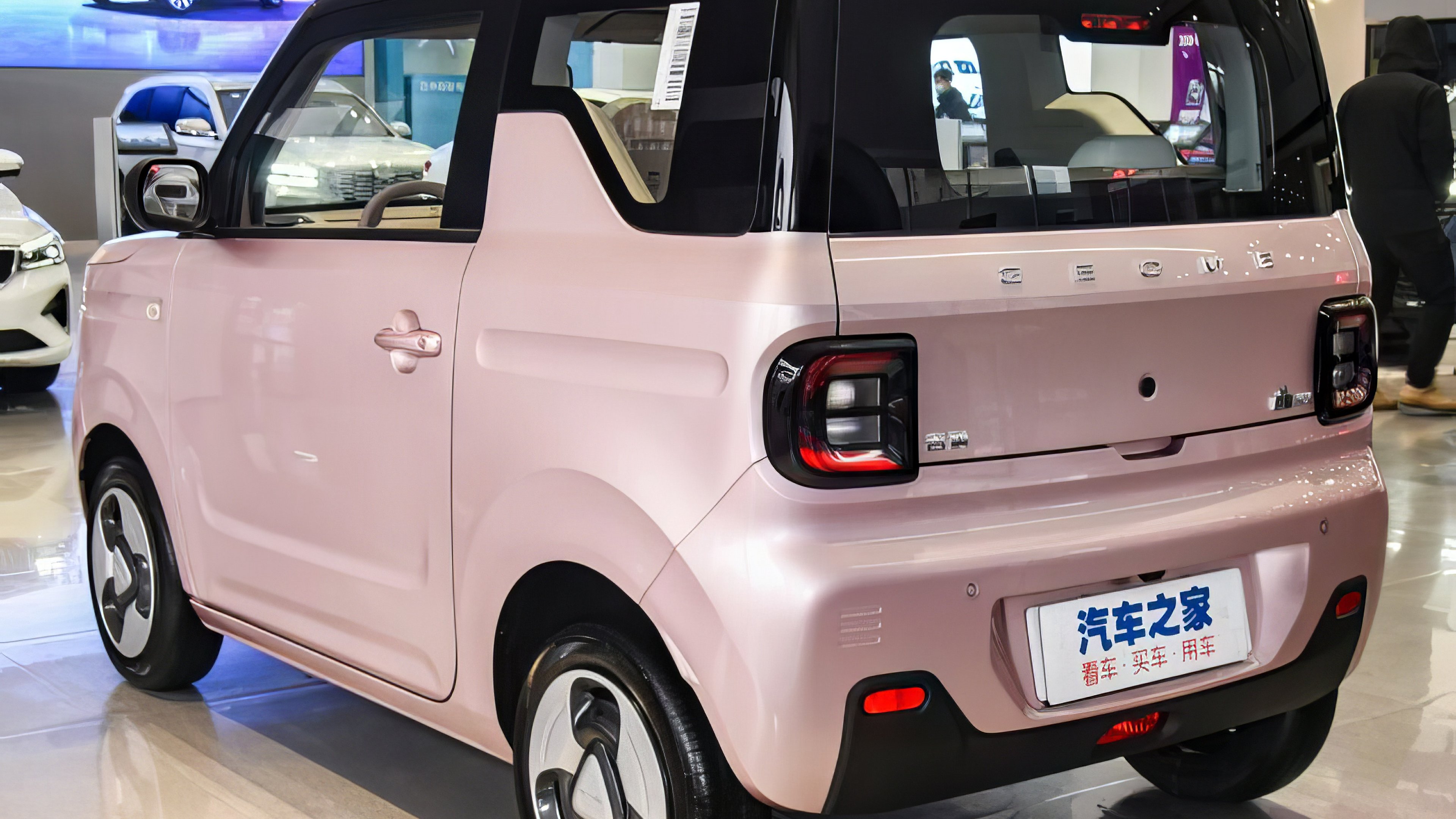 Geely Geometry Panda Mini rear view