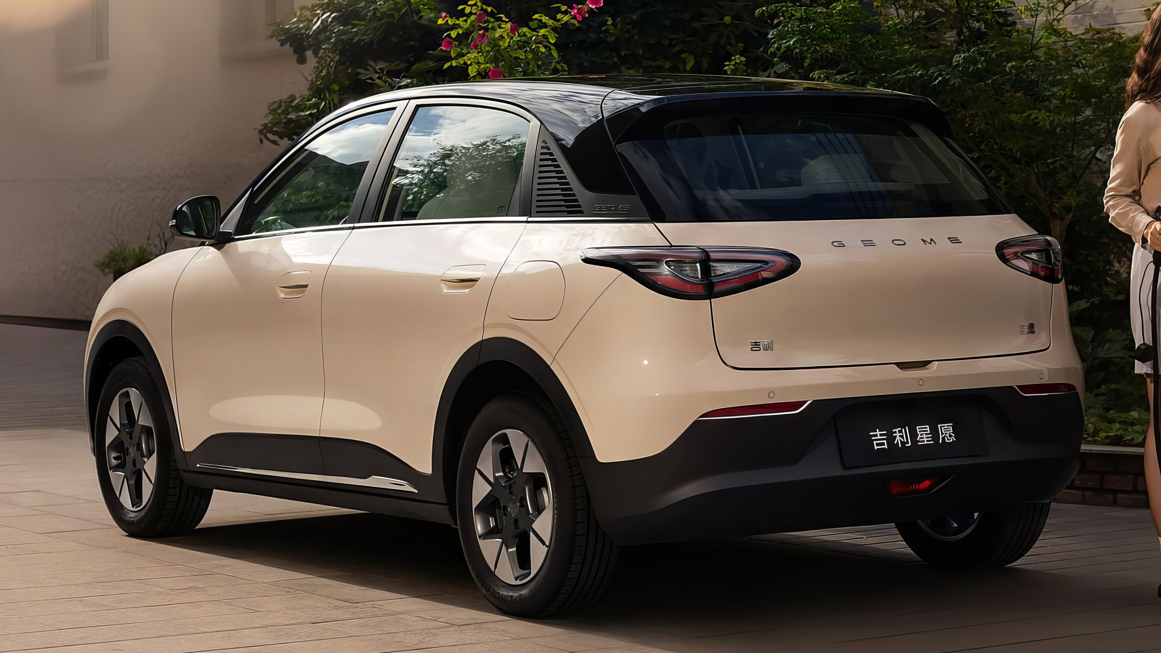 Geely GEOME Xingyuan  rear view