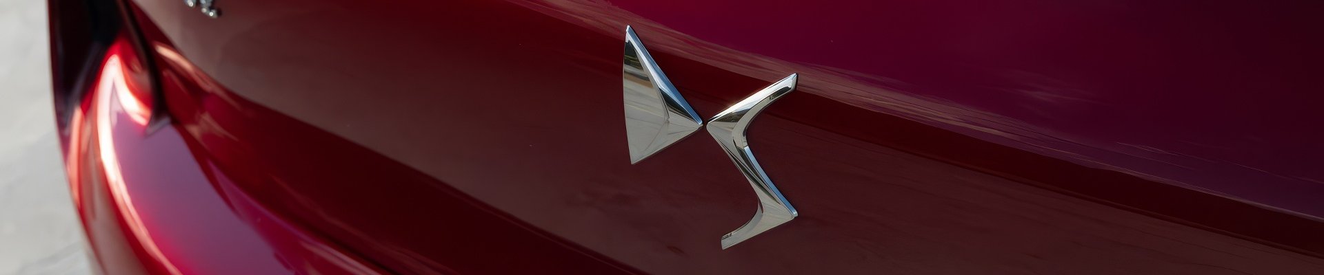 DS emblem