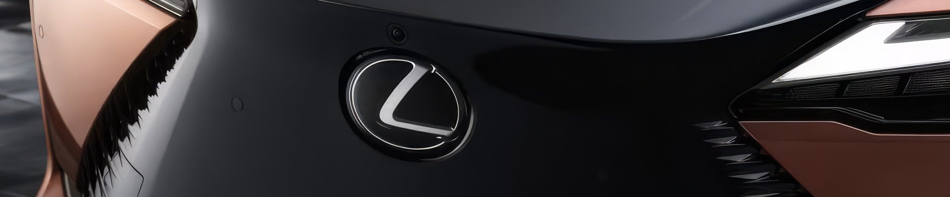 Lexus emblem