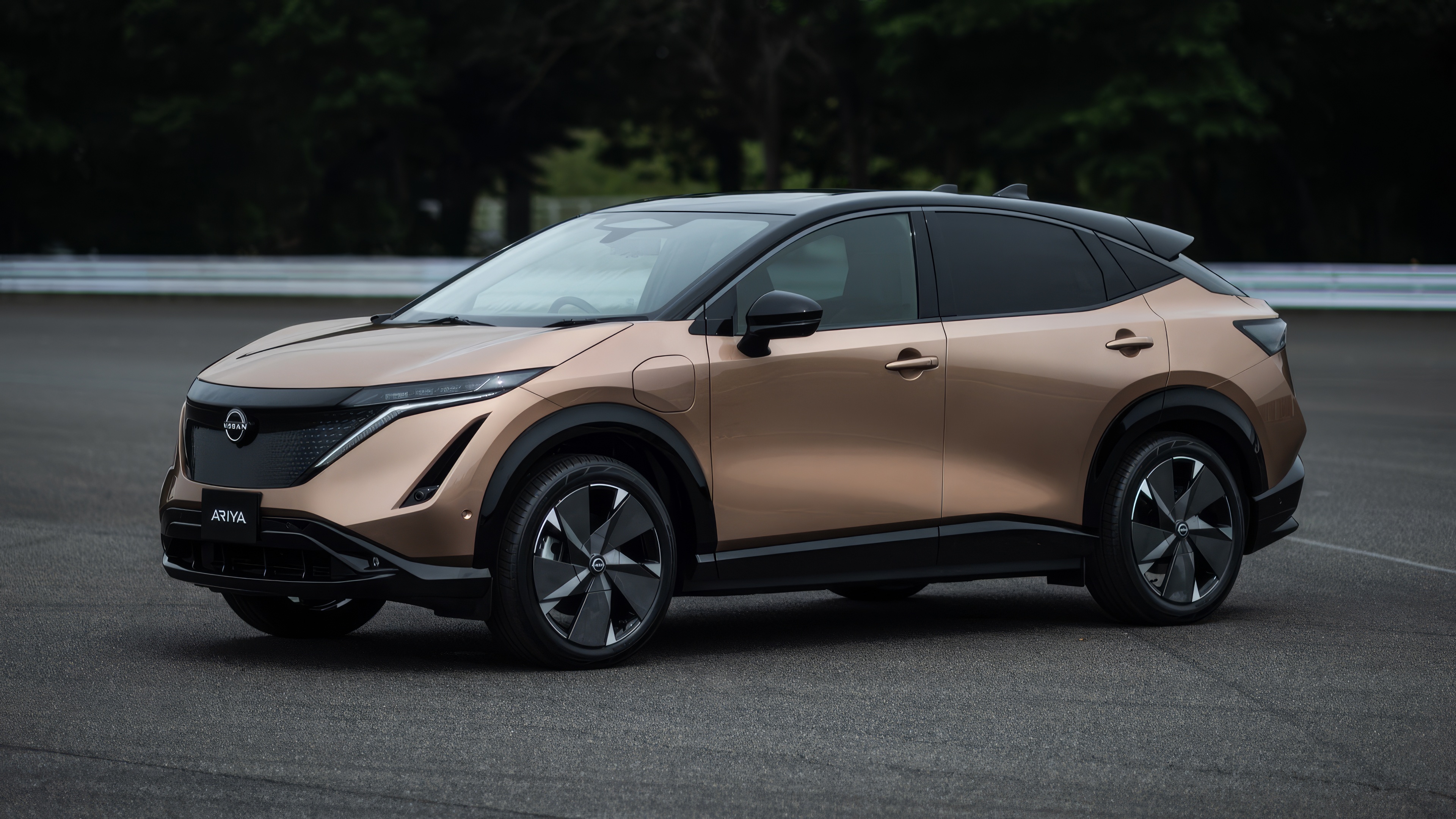 Nissan brand EVs