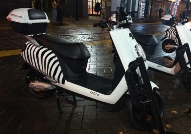 Zebra electric moped scooter