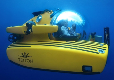Triton  electric submersible